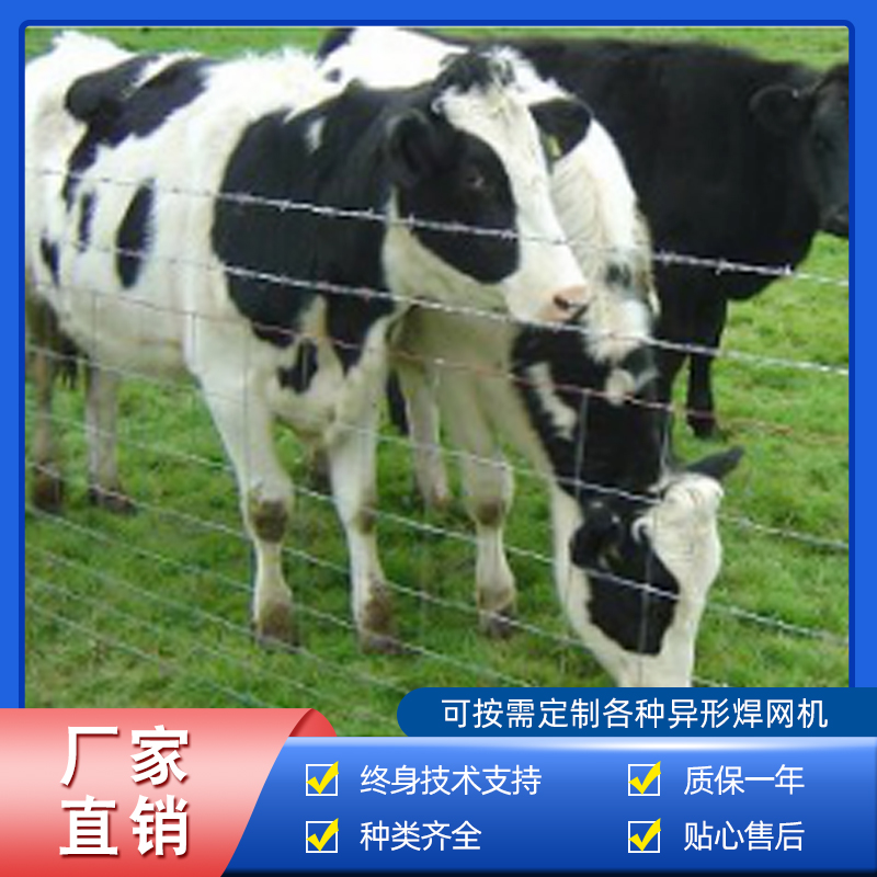 草(cǎo)原網、牛欄網